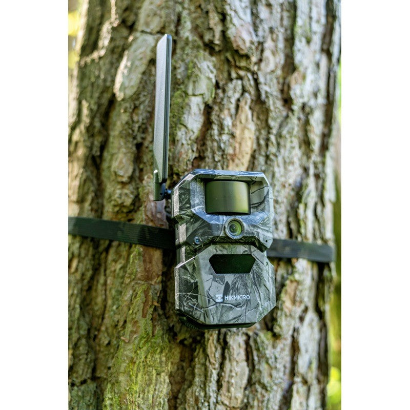 HIKMICRO T16 – intelligente 4G-Wildkamera mit Dual-FOV